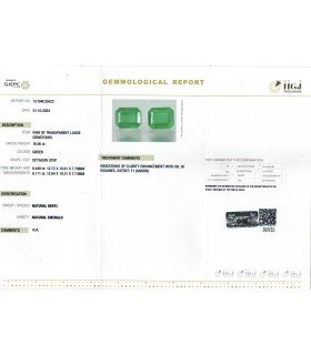 16.56 cts Natural Emerald - Panna (SKU:90150272)