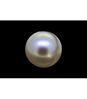 3.53 cts Natural Pearl (Moti)