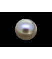 3.53 cts Natural Pearl (Moti)