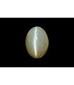 3.51 cts Natural Cats Eye (Lehsunia)