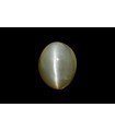 3.87 cts Natural Cats Eye (Lehsunia)