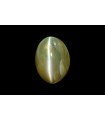 3.24 cts Natural Cats Eye (Lehsunia)