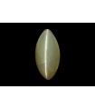 3.61 cts Natural Cats Eye (Lehsunia)