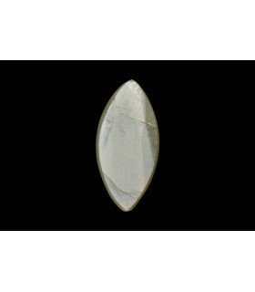 3.61 cts Natural Cats Eye - Lehsunia (SKU:90152467)