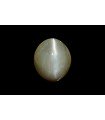 3.14 cts Natural Cats Eye (Lehsunia)
