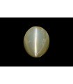 3.37 cts Natural Cats Eye (Lehsunia)