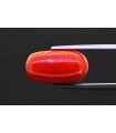 8.67 cts Natural Coral (Moonga)
