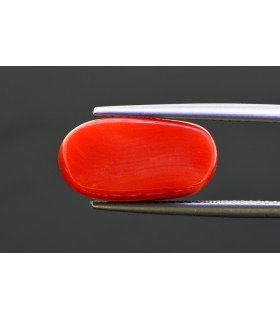 8.67 cts Natural Coral - Moonga (SKU:90152924)