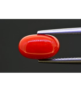 2.86 cts Natural Coral (Moonga)