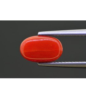 2.91 cts Natural Coral - Moonga (SKU:90154348)