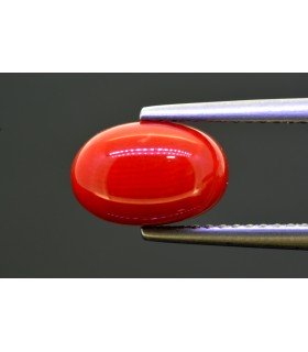 2.98 cts Natural Coral (Moonga)