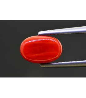 2.98 cts Natural Coral - Moonga (SKU:90154379)