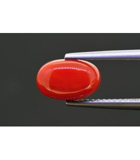 2.46 cts Natural Coral (Moonga)