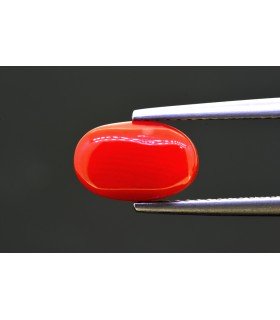 2.46 cts Natural Coral - Moonga (SKU:90154386)