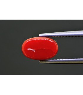 2.88 cts Natural Coral - Moonga (SKU:90154416)