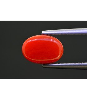 2.85 cts Natural Coral - Moonga (SKU:90154423)