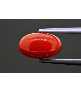 2.82 cts Natural Coral (Moonga)