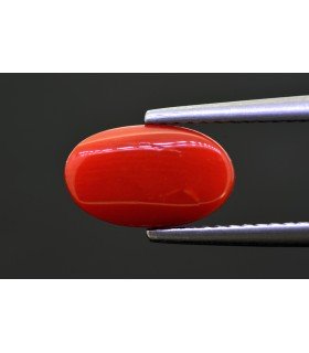 2.82 cts Natural Coral - Moonga (SKU:90154430)