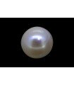 3.89 cts Cultured Pearl (Moti)