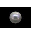 3.78 cts Cultured Pearl (Moti)
