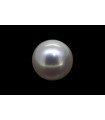 3.86 cts Cultured Pearl (Moti)