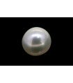 4.63 cts Cultured Pearl (Moti)