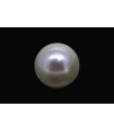 4.40 cts Cultured Pearl (Moti)