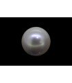 4.46 cts Cultured Pearl (Moti)