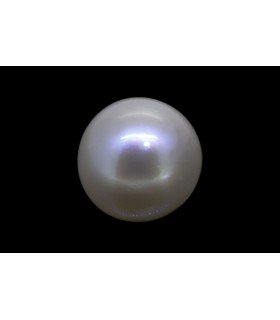 5 cts Cultured Pearl (Moti)