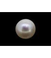 9.25 cts Cultured Pearl (Moti)