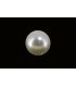 3.63 cts Cultured Pearl (Moti)