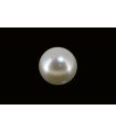 3.63 cts Cultured Pearl (Moti)