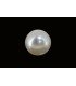3.56 cts Cultured Pearl (Moti)