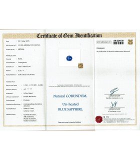 3.32 cts Unheated Natural Blue Sapphire - Neelam (SKU:90156021)