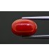 7.28 cts Natural Coral (Moonga)