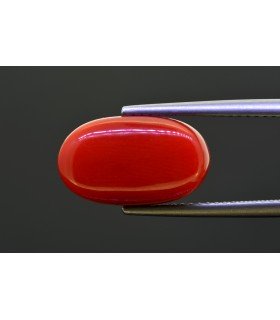 8.78 cts Natural Coral - Moonga (SKU:90156243)