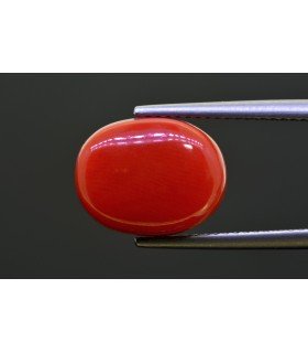 8.51 cts Natural Coral - Moonga (SKU:90156274)