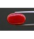 10.63 cts Natural Coral - Moonga (SKU:90156281)