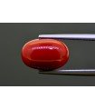 7.17 cts Natural Coral (Moonga)