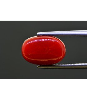 7.17 cts Natural Coral - Moonga (SKU:90156311)