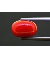 7.23 cts Natural Coral (Moonga)