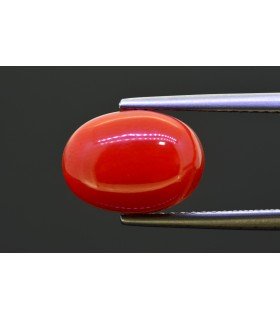 4.85 cts Natural Coral (Moonga)