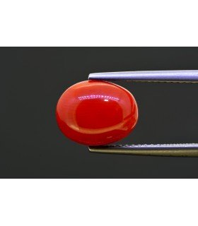 4.69 cts Natural Coral (Moonga)