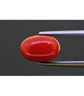 4.49 cts Natural Coral (Moonga)