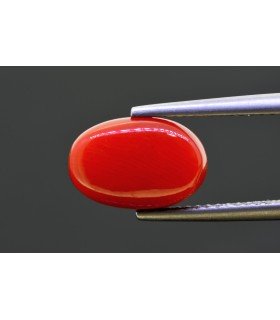 4.49 cts Natural Coral - Moonga (SKU:90157554)