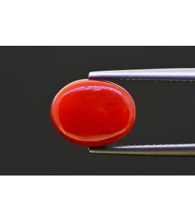 4.47 cts Natural Coral - Moonga (SKU:90157561)