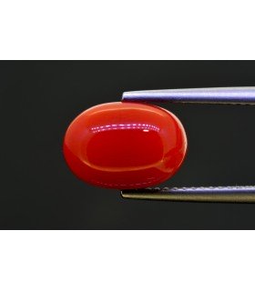 5.28 cts Natural Coral (Moonga)