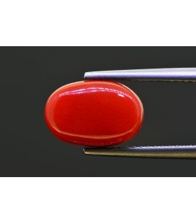 5.17 cts Natural Coral - Moonga (SKU:90157585)