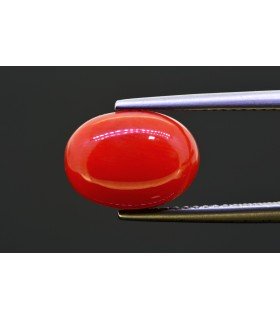 5.18 cts Natural Coral (Moonga)