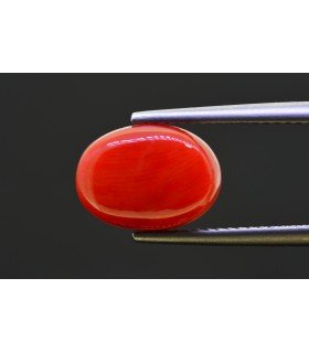 5.18 cts Natural Coral - Moonga (SKU:90157608)